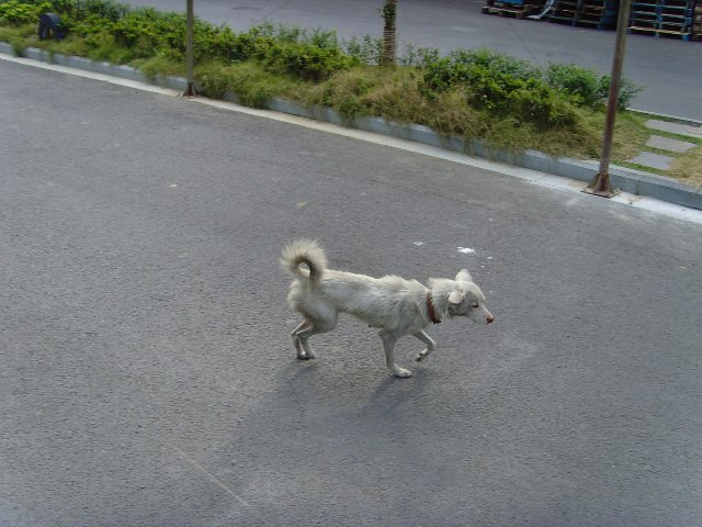 20071018_c5e4009700d1995f0389YVYijQr8RQeb.jpg