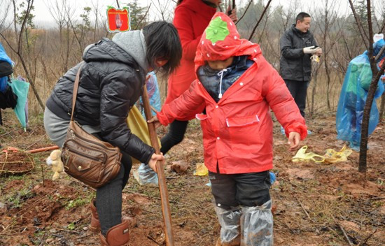 昨天恐龙园植树节活动归来全程记录|龙城茶座