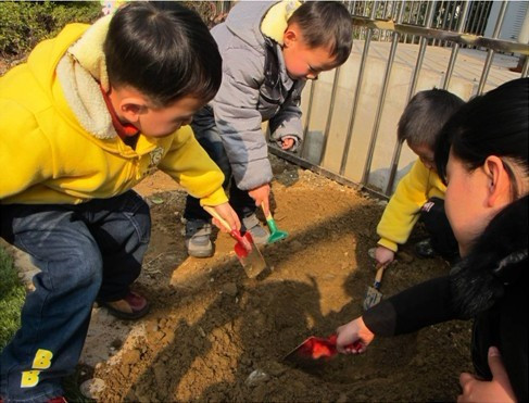 3.12植树节,种下小树苗,愿小树和我共同成长|母