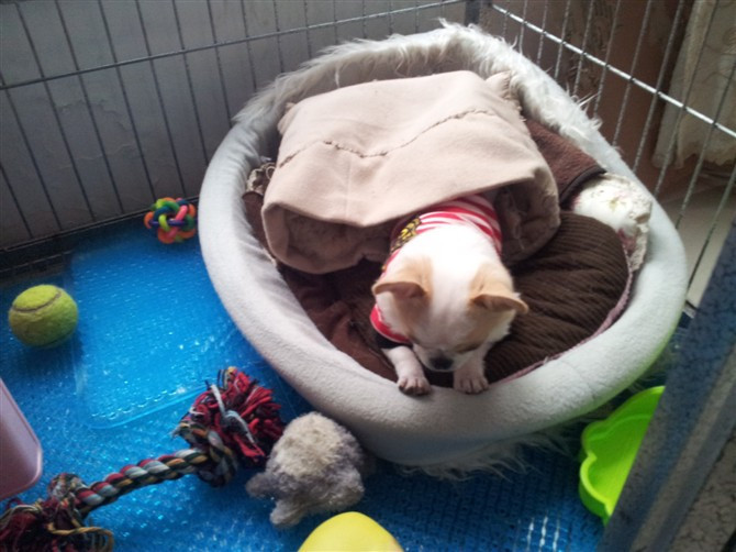 家有小恶魔,麻麻揪心啊~叛逆期的孩子麻麻伤不