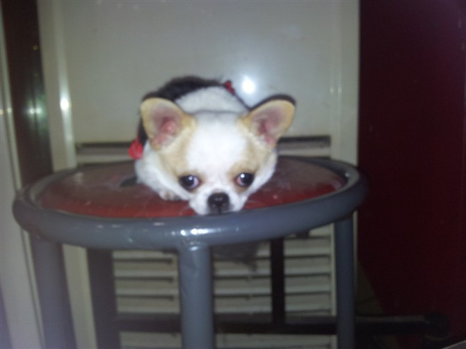 家有小恶魔,麻麻揪心啊~叛逆期的孩子麻麻伤不