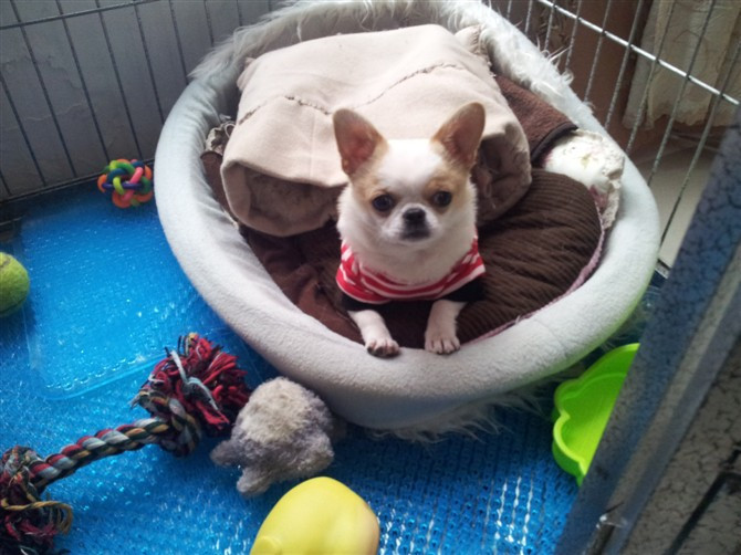 家有小恶魔,麻麻揪心啊~叛逆期的孩子麻麻伤不