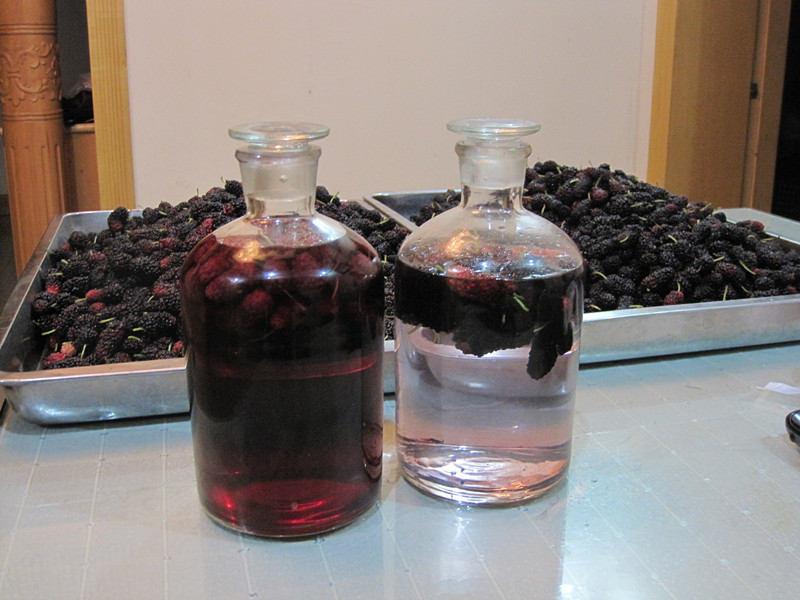 纯粮烧酒 桑葚酒|信息发布区