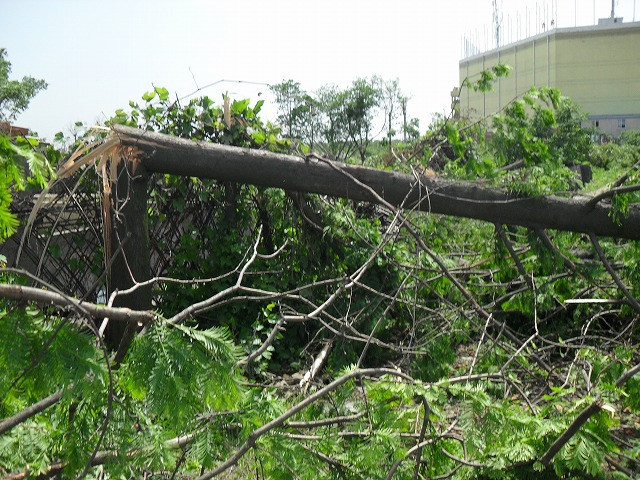 视频+图片:流氓聚众掌掴暴打常州七旬老汉夫妇
