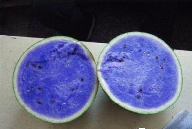 这个瓜吃了会死翘翘吗?|龙城茶座