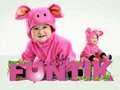 <font color=#0000FF>����ķۺ�С������</font>