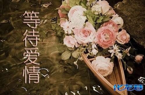 化龙巷<em>交友</em>征婚版块:<em>同城寂寞男女交友</em>,浪漫约